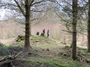 Coppice case study: Kirkton Wood, Aberfoyle