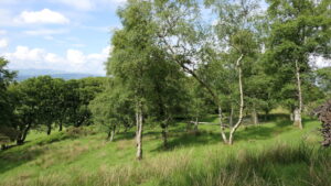 Annual Gathering tickets now available